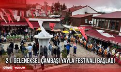 21. Geleneksel Çambaşı Yayla Festivali Başladı