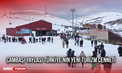 Çambaşı Yaylası Türkiye'nin Yeni Turizm Cenneti