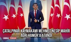 Çatalpınar Kaymakamı Mehmet Nesip Mahir, Ağrı Hamur'a Atandı