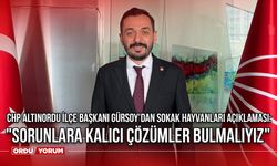 CHP Altınordu İlçe Başkanı Gürsoy'dan Sokak Hayvanları Açıklaması: "Sorunlara Kalıcı Çözümler Bulmalıyız"