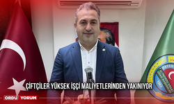 Çiftçiler Yüksek İşçi Maliyetlerinden Yakınıyor