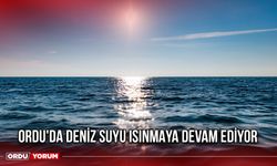 Ordu'da Deniz Suyu Isınmaya Devam Ediyor