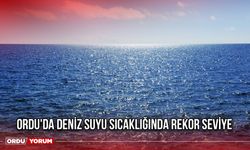 Ordu'da Deniz Suyu Sıcaklığında Rekor Seviye