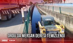 Ordu’da Mersan Deresi Temizlendi