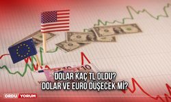 Dolar Kaç TL Oldu? Dolar ve Euro Düşecek Mi?