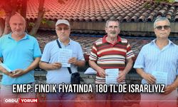 EMEP: Fındık Fiyatında 180 TL’de Israrlıyız