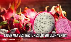 Ejder Meyvesi nasıl kesilir soyulur yenir?