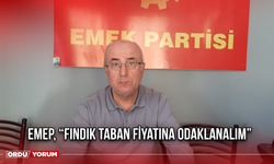 EMEP, “Fındık taban fiyatına odaklanalım”