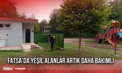 Fatsa’da Yeşil Alanlar Artık Daha Bakımlı