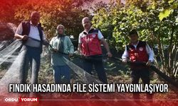 Fındık Hasadında File Sistemi Yaygınlaşıyor