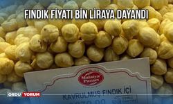 Fındık fiyatı bin liraya dayandı