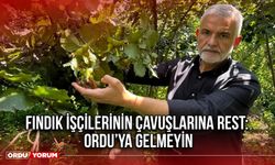 Fındık İşçilerinin Çavuşlarına Rest: Ordu’ya Gelmeyin