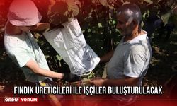 Fındık Üreticileri ile İşçiler Buluşturulacak