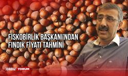 FİSKOBİRLİK Başkanı'ndan fındık fiyatı tahmini