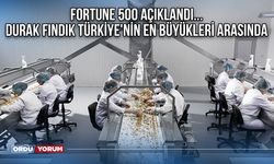 Fortune 500 açıklandı... Durak Fındık Türkiye'nin en büyükleri arasında