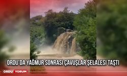 Ordu'da Yağmur Sonrası Çavuşlar Şelalesi Taştı