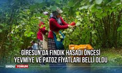 Giresun'da Fındık Hasadı Öncesi Yevmiye ve Patoz Fiyatları Belli Oldu