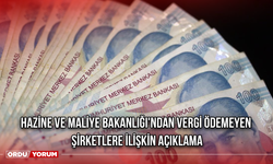 Hazine ve Maliye Bakanlığı'ndan Vergi Ödemeyen Şirketlere İlişkin Açıklama