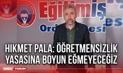 Hikmet Pala: Öğretmensizlik Yasasına Boyun Eğmeyeceğiz