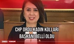 CHP Ordu Kadın Kolları Başkanı Belli Oldu