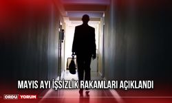 Mayıs Ayı İşsizlik Rakamları Açıklandı