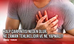 Kalp Çarpıntısı Neden Olur, Ne Zaman Tehlikelidir ve Ne Yapmalı? Kalp Çarpıntısı Nedir?