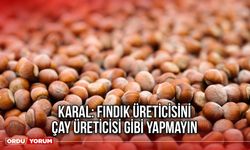 Karal: Fındık Üreticisini Çay Üreticisi Gibi Yapmayın