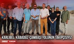 Karlıbel: Kabadüz-Çambaşı Yolunun Takipçisiyiz