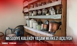 Mesudiye Kaleköy Yaşam Merkezi Açılıyor