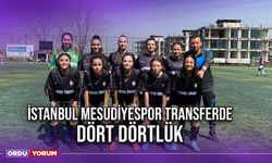 İstanbul Mesudiyespor Transferde Dört Dörtlük