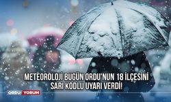 Meteoroloji bugün Ordu'nun 18 ilçesini sarı kodlu uyarı verdi!