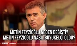 Metin Feyzioğlu neden değişti? Metin Feyzioğlu nasıl büyükelçi oldu?