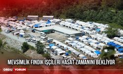 Mevsimlik Fındık İşçileri Hasat Zamanını Bekliyor