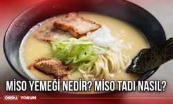 Miso yemeği nedir? Miso tadı nasıl?