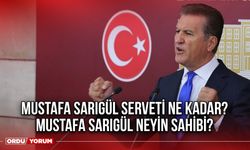 Mustafa Sarıgül serveti ne kadar? Mustafa Sarıgül neyin sahibi?