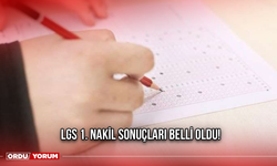 LGS 1. Nakil Sonuçları Belli Oldu!