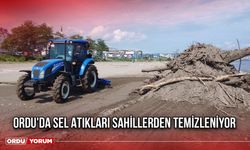 Ordu'da Sel Atıkları Sahillerden Temizleniyor