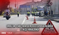 Ordu’da 1 Haftada Gerçekleşen Kazalarda 71 Kişi Yaralandı