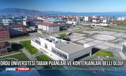 Ordu Üniversitesi Taban Puanları ve Kontenjanları Belli Oldu! İşte En Düşük Puanlar ve En Fazla Kontenjan Sahibi Bölüml