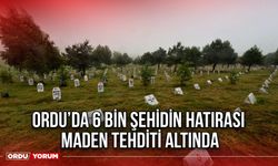 Ordu’da 6 Bin Şehidin Hatırası Maden Tehdit Altında