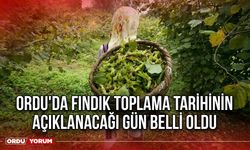 Ordu'da Fındık Toplama Tarihinin Açıklanacağı Gün Belli Oldu