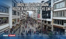 Ordu'da işsizlik oranı yüzde 8 artarak 7,7'ye çıktı!