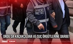 Ordu’da Kaçakçılara ve Suç Örgütlerine Darbe!