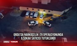 Ordu'da Narkoçelik-29 Operasyonunda 6 Sokak Satıcısı Tutuklandı