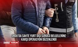 Ordu'da Sahte Yurt Dışı Sürücü Belgelerine Karşı Operasyon Düzenlendi