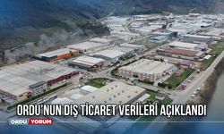 Ordu’nun Dış Ticaret Verileri Açıklandı! Haziran'da İhracat ve İthalat Rakamları Dikkat Çekti