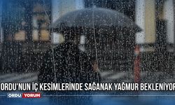 Ordu'nun iç kesimlerinde sağanak yağmur bekleniyor