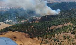 Balıkesir'de ormanlık alanda yangın çıktı