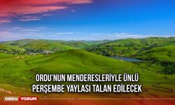 Ordu’nun Menderesleriyle Ünlü Perşembe Yaylası Talan Edilecek