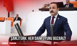 Şanlıtürk: Her daim oyunu bozarız!